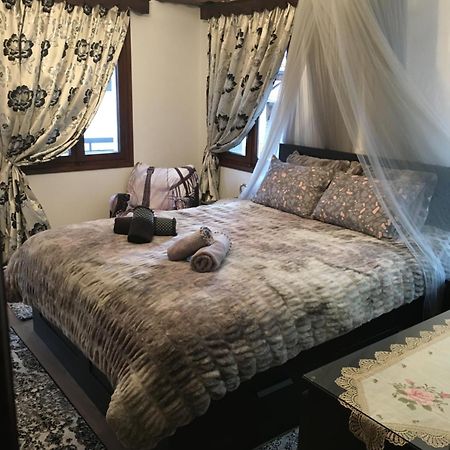 Agapi'S House Apartment Metsovo Ngoại thất bức ảnh