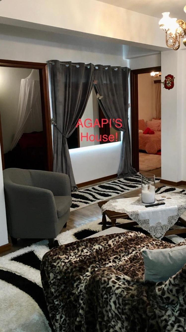 Agapi'S House Apartment Metsovo Ngoại thất bức ảnh