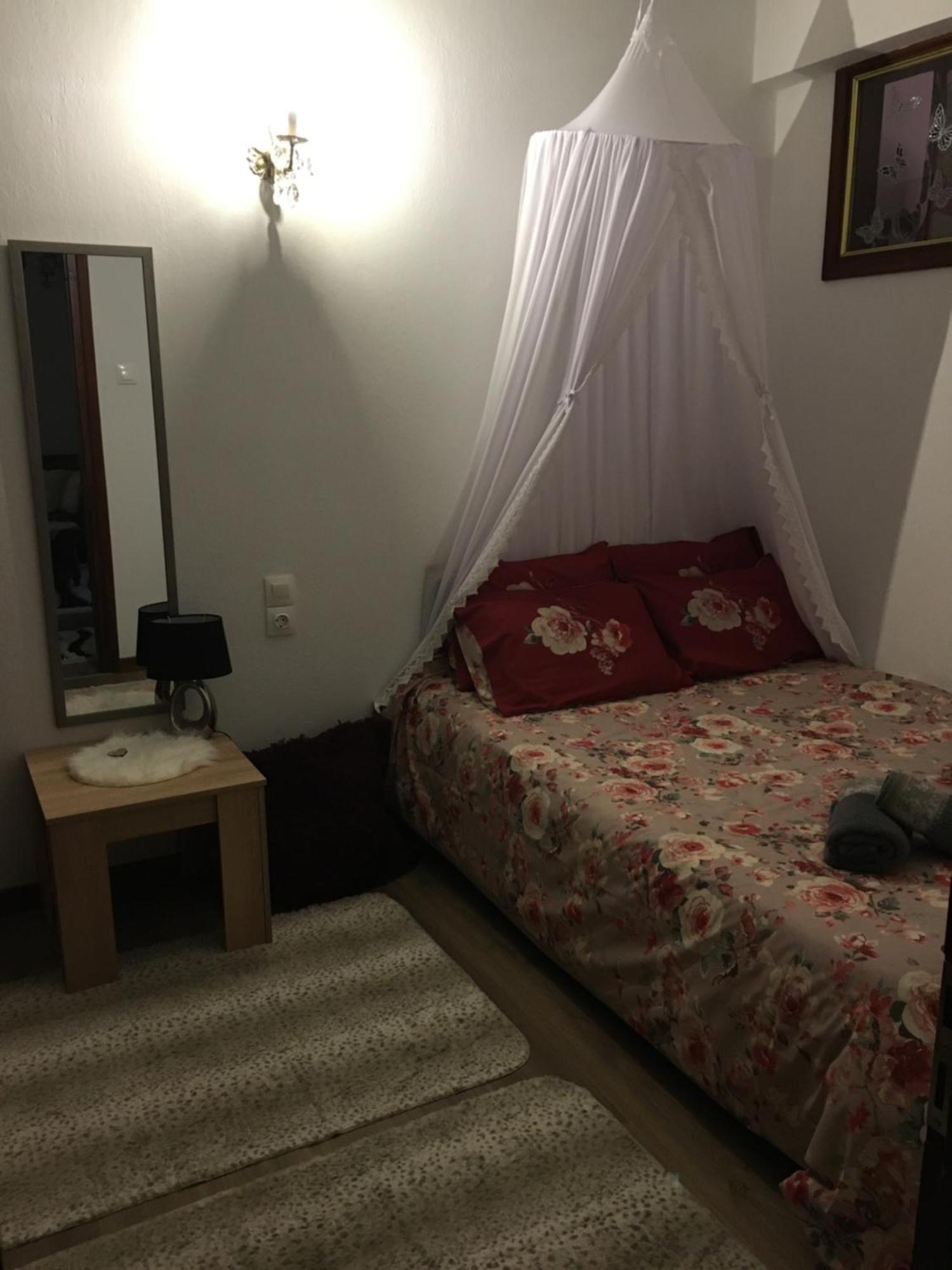 Agapi'S House Apartment Metsovo Ngoại thất bức ảnh