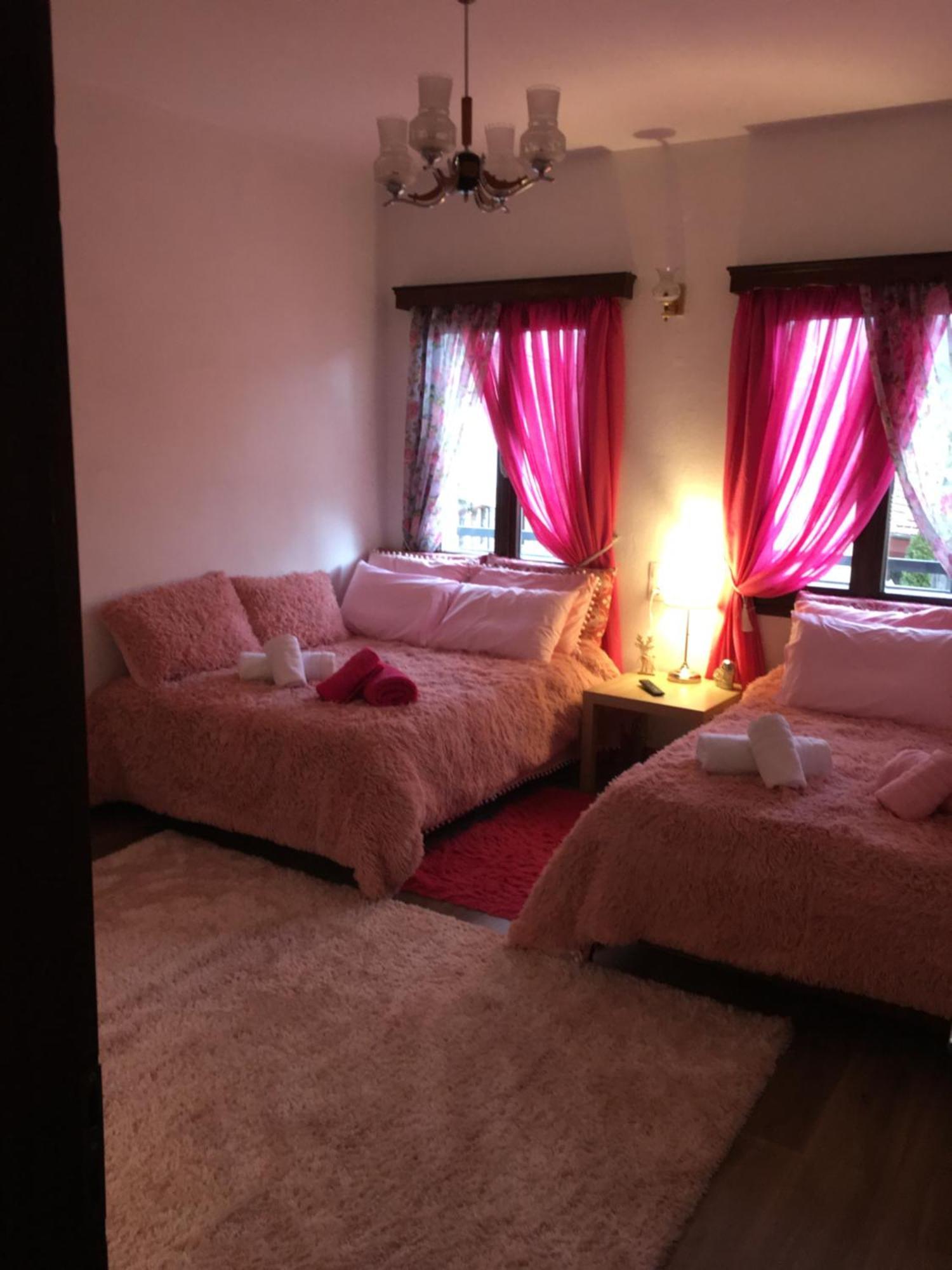 Agapi'S House Apartment Metsovo Ngoại thất bức ảnh