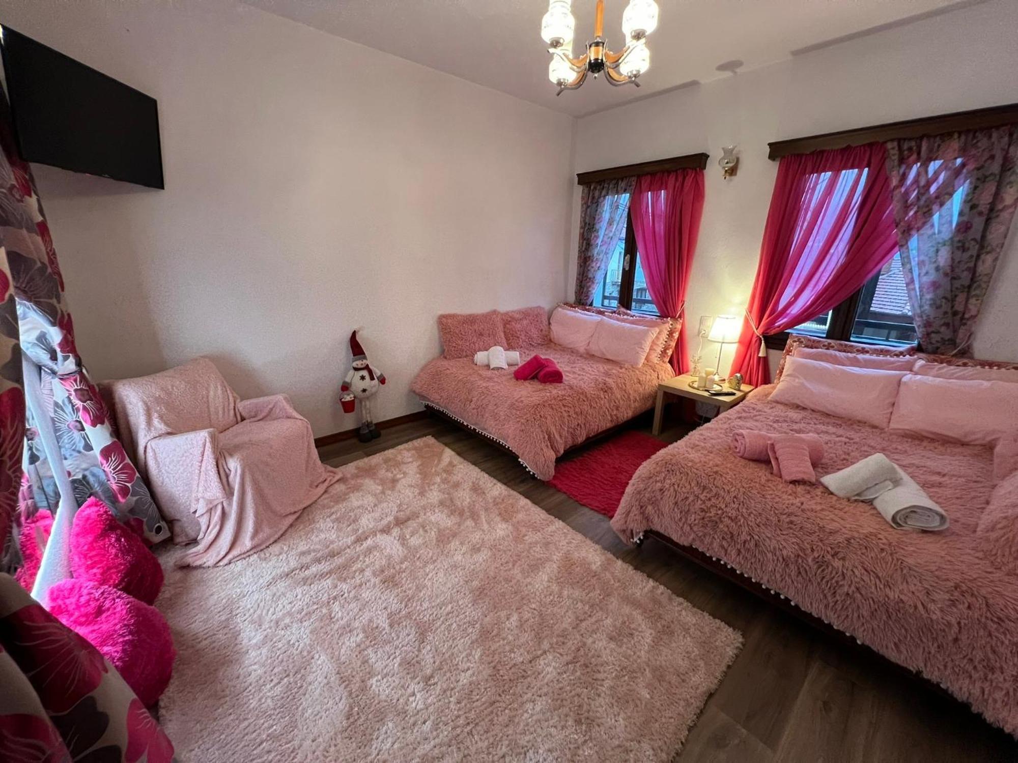 Agapi'S House Apartment Metsovo Ngoại thất bức ảnh