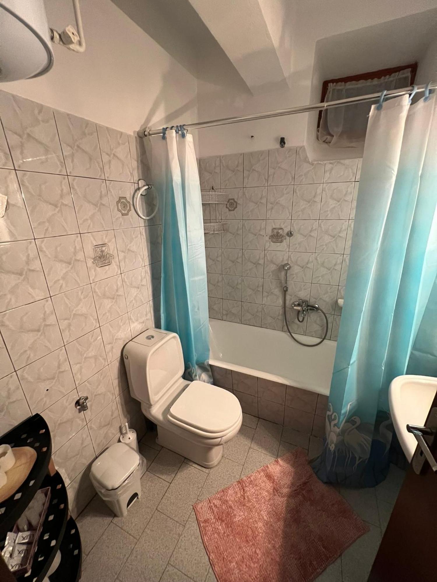 Agapi'S House Apartment Metsovo Ngoại thất bức ảnh
