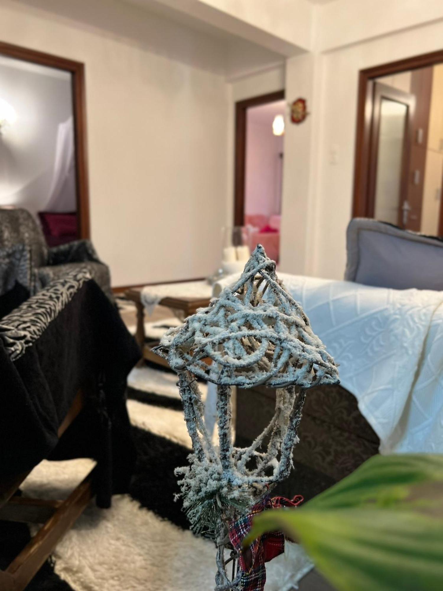 Agapi'S House Apartment Metsovo Ngoại thất bức ảnh