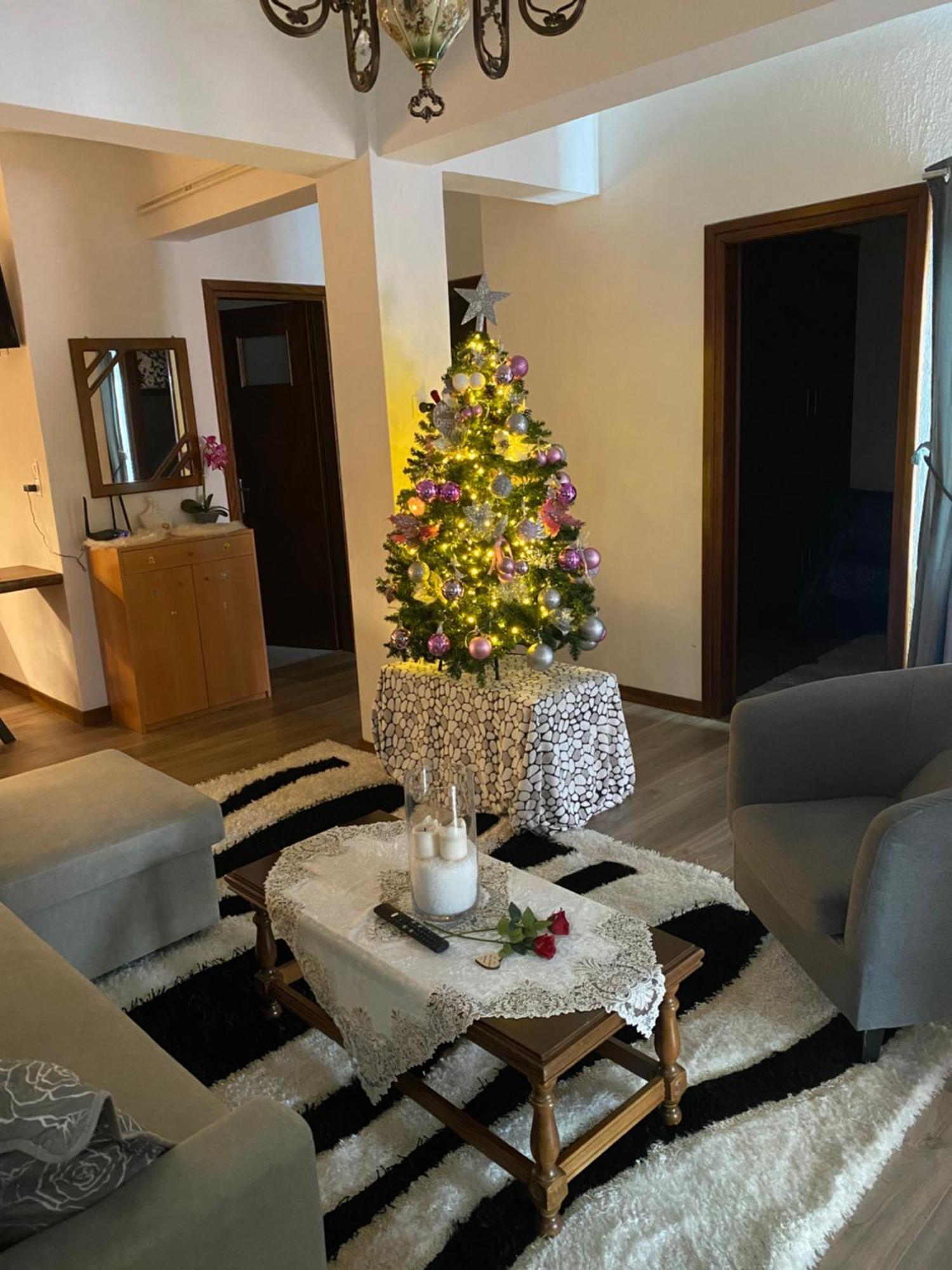 Agapi'S House Apartment Metsovo Ngoại thất bức ảnh